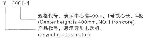 西安泰富西玛Y系列(H355-1000)高压YJTG-280M-8A三相异步电机型号说明